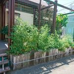 ステーキ・洋食のTANTO屋 - お店の外観　2018.7