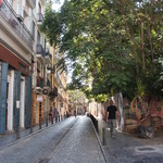 Aloha Vegan Delights - 