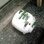 Homemade Ramen 麦苗 - 豚の蚊取り線香