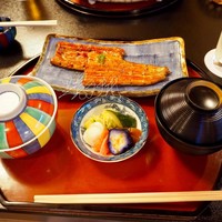 うなぎ秋本 - 鮮やか美しい