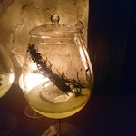 ベンフィディック - ジン系ハーブ