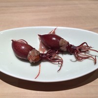 匠 進吾 - 