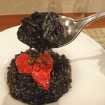 トロントセット - 