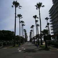 リストランテAO 逗子マリーナ - 