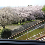 かぐや岩本山cafe - 