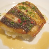 BISTRO DOUBLE - スズキのポワレ　ラベンダーはちみつのソース