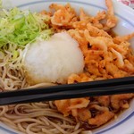 どんどん庵 - 桜エビかき揚げおろし蕎麦大盛