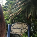 Blue Ginger Cafe - 