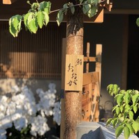 鮨 おおが - 
