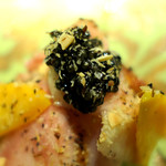 ドディチ・マッジョ - 