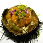 ドディチ・マッジョ - 