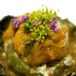 ドディチ・マッジョ - 