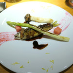 ドディチ・マッジョ - 