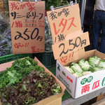 久保農園 生産直売所 - レタス 1箱¥250(税別)