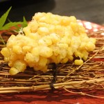 旬魚旬菜 満うら - 