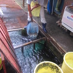 黒羽観光やな - 生簀には那珂川の鮎が一杯！