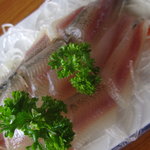 黒羽観光やな - 透き通るような刺身