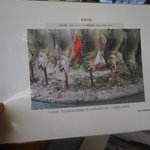 黒羽観光やな - 中国メディアに紹介された”塩焼き”風景