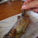 黒羽観光やな - 化粧塩の塩梅も絶妙です！