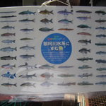 黒羽観光やな - 那珂川に生息する魚たち