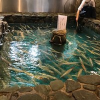 河太郎 中洲本店 - 当日は豊富に泳いでいました