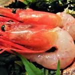 はてなのちゃわん - 