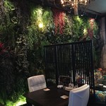 37℃バー アマゾン - 店名となる鬱蒼感