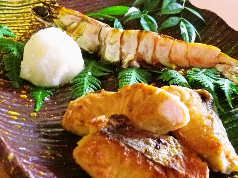 Toyota Chikara photo 2