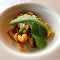International cuisine subzero - 