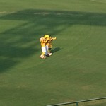 阪神甲子園球場 - 