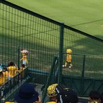 阪神甲子園球場 - 