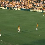 阪神甲子園球場 - 