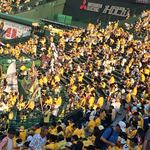 阪神甲子園球場 - 