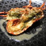 レストラン メルキュール - オマール海老のポワレ　フェンネルソース