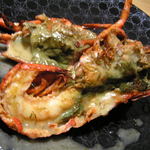 レストラン メルキュール - オマール海老のポワレ　フェンネルソース