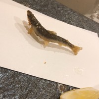 ご馳走 ね音 - 