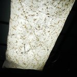 蕎麦喰い処 利めい庵 - 蕎麦喰い処 利めい庵 - 2018年夏