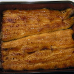 初うなぎ　あさがお