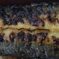 入谷鬼子母神門前のだや - 裏皮