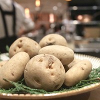 SUGALABO - 