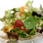 レフェルヴェソンス - 