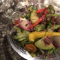 D'ORO HATSUDAI - 