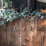 Dear My Body - 
