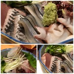 こやしき - ＊上：「鰯」脂がのり美味しい。「細魚」もいい味わい。「蛸」は食べやすいように丁寧に包丁が入り水蛸のような食感でした。 ＊左下：イサキもいい味わい。 ＊右下：鰹。皮目を炙ってあり美味しい。