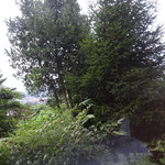 フェリス - スタンダードルームからの景色