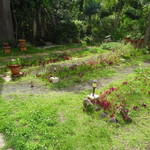 フェリス - ガーデン