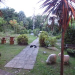 フェリス - お庭