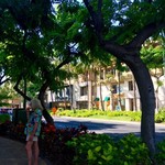 Island Vintage Coffee - Mr.poodle