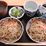 Ippitsu Keijou Diya Soba Dokoro - おろしそば５００円