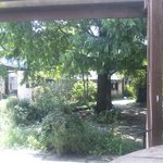 MOKICHI TRATTORIA - テラス席から